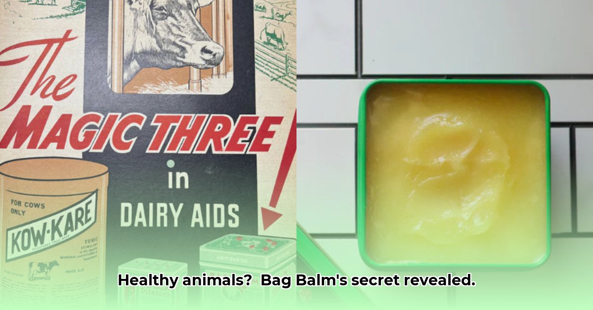 tractor-supply-bag-balm